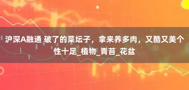 沪深A融通 破了的菜坛子，拿来养多肉，又酷又美个性十足_植物_青苔_花盆