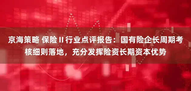 京海策略 保险Ⅱ行业点评报告：国有险企长周期考核细则落地，充分发挥险资长期资本优势