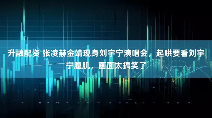 升融配资 张凌赫金靖现身刘宇宁演唱会，起哄要看刘宇宁腹肌，画面太搞笑了