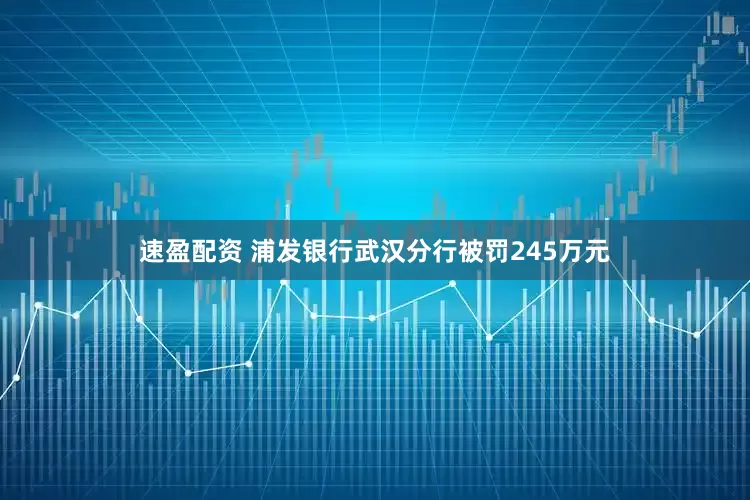速盈配资 浦发银行武汉分行被罚245万元